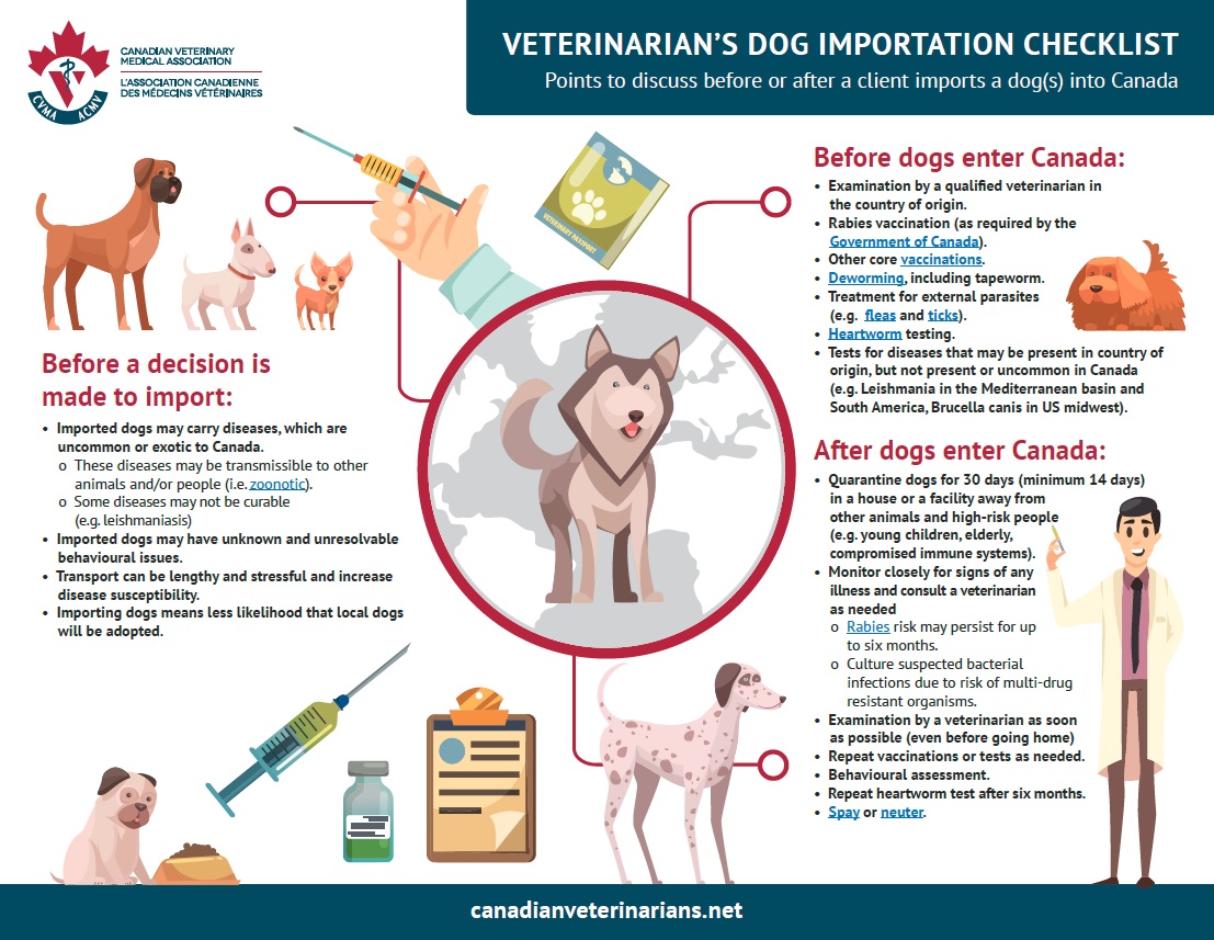 Canine Importation Canadian Veterinary Medical Association