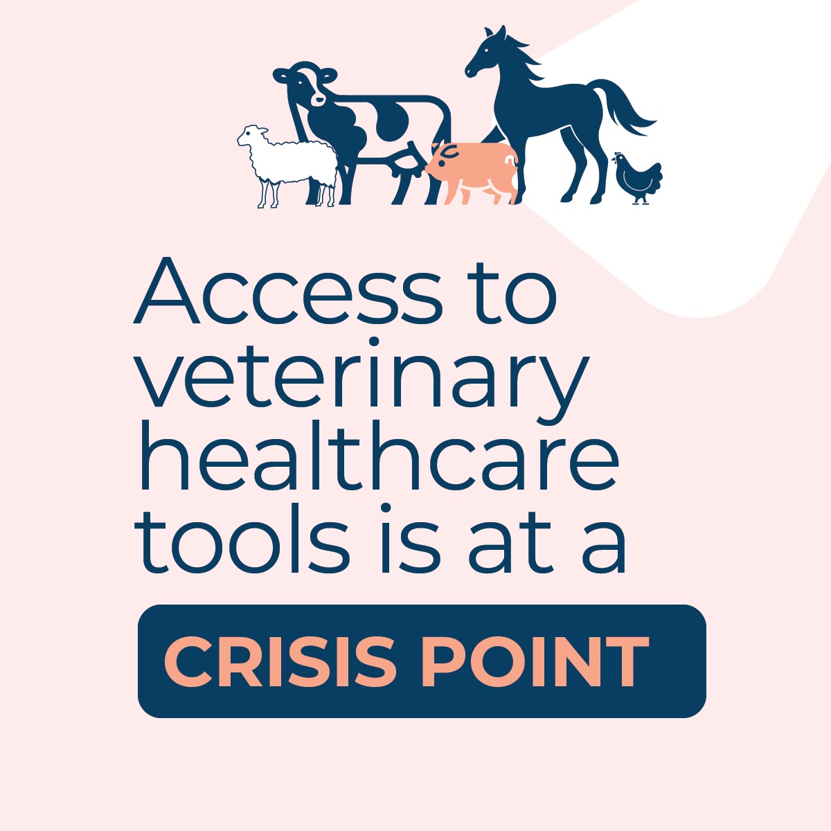 Access to veterinary healthcare tools is at a crisis point