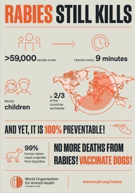 Rabies Statistics