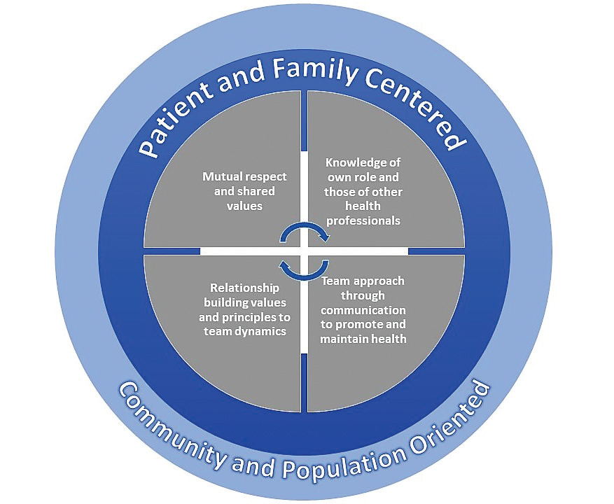 CVJ October 2023 - One Health: Interprofessional experiences — A bridge ...