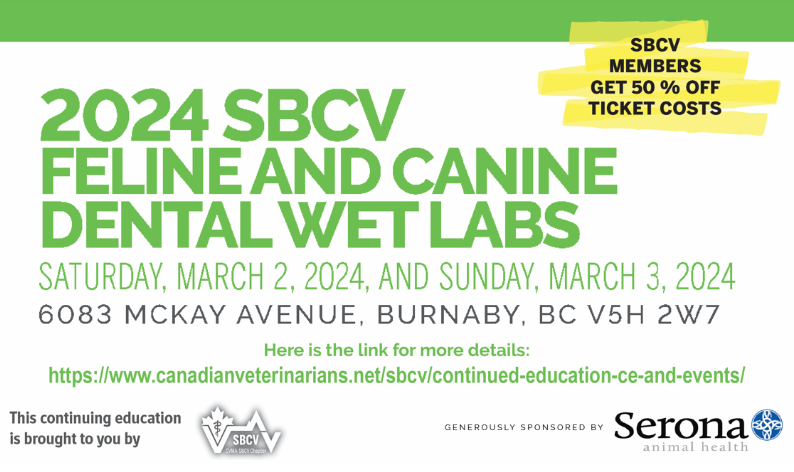 2024 SBCV Feline And Canine Dental Wet Labs Canadian Veterinary   Image 