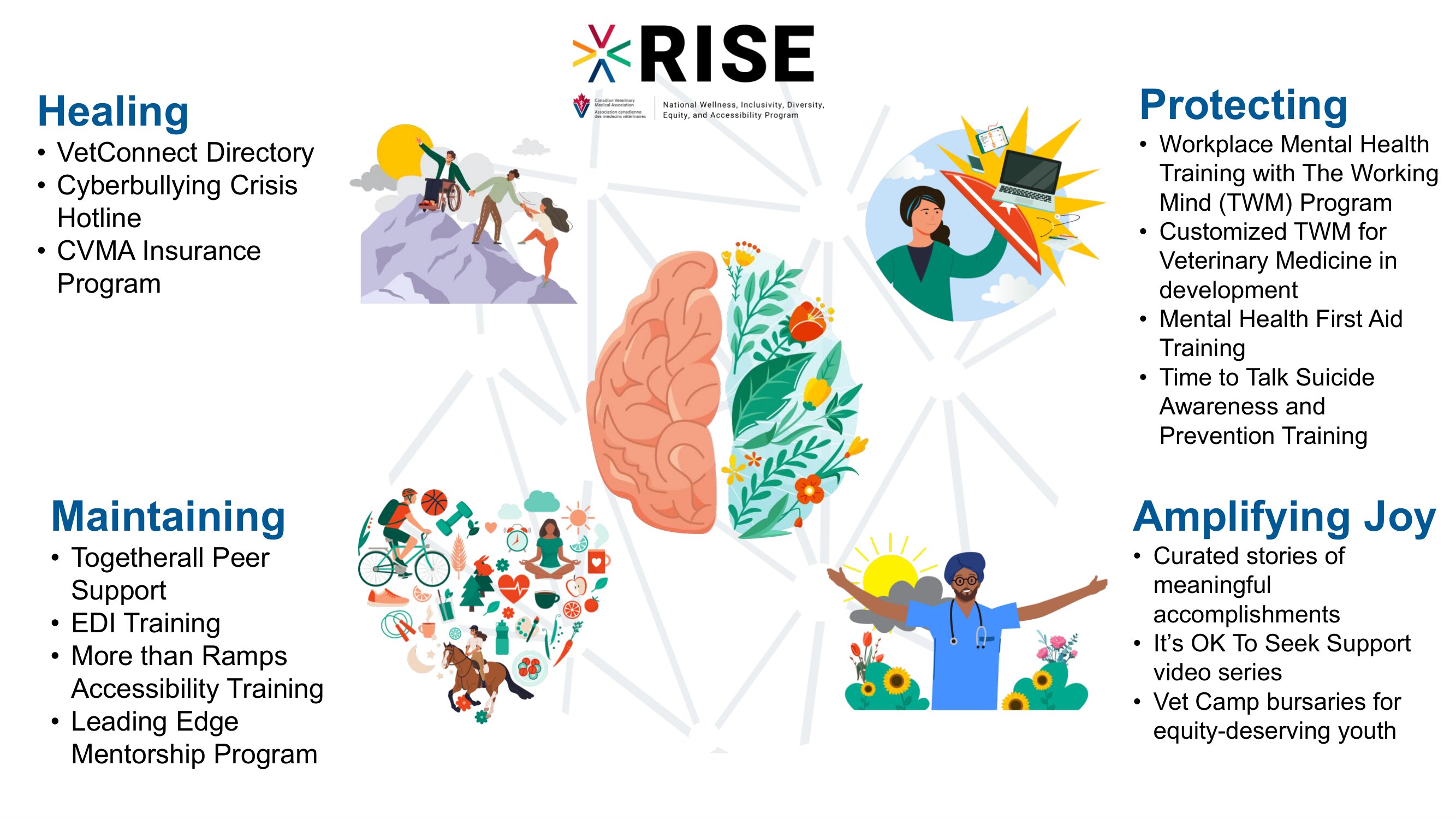 Rise Program